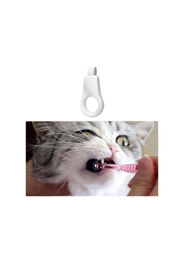 Suntek 6 Parçalı Köpek Diş Fırçası Kedi Yavrusu Küçük