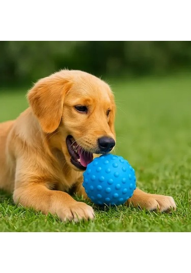 Petzoom Mavi Dikenli Köpek Oyun Topu