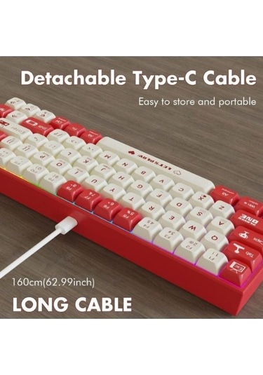 Ak680 Kablolu Red Switch Mekanik Klavye-rainbow Aydınlatma Hot-swap