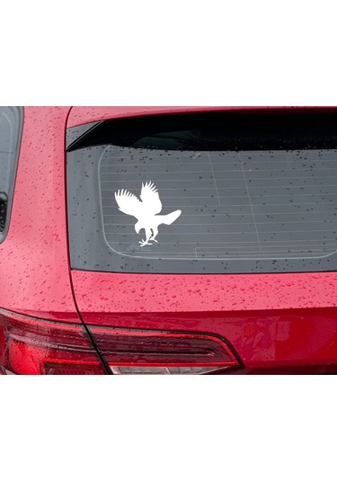 Bk Home Şahin Tasarımlı Beyaz Araç Sticker-1