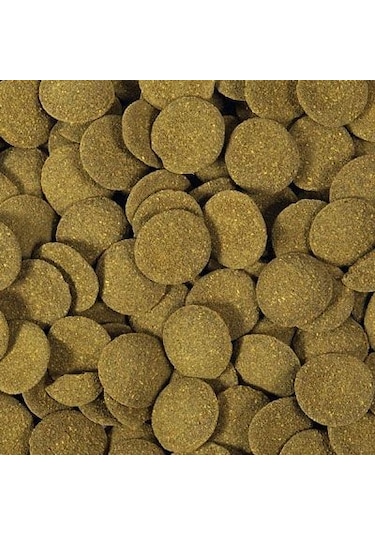 Hikari Mini Algae Wafers Sinking 22 G