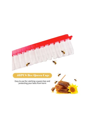 Geeroyoo "arıcılar İçin Pratik Kraliçe Arı Taşıma Kafesi - Kolay Kullanım, Yüksek Kalite"