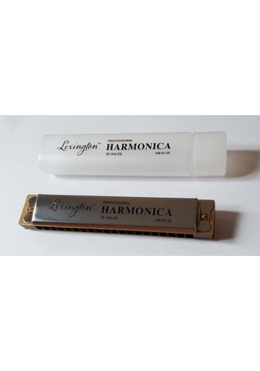 Lexington Hm0120 20 Delikli Mızıka C