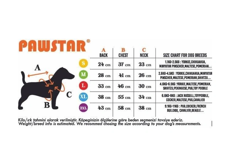 Pawstar Mavi Verona Kiss Küçük Irk Köpek Polar Ceket