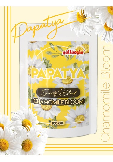 Güllüoğlu 4'lü Bitki Çayı Serisi + Shaker Hibiskus-papatya-biberiye-kıvırcık Nane