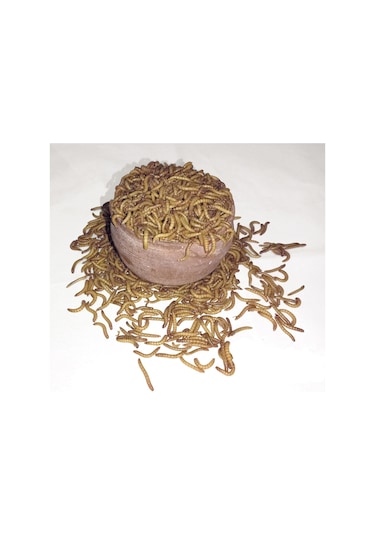 Exolive Un Kurdu 2500'lü 250 G