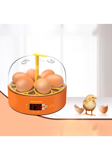 Suntek Mini Yumurta Kuluçka Makinesi Otomatik Dönen Ördek Kuş