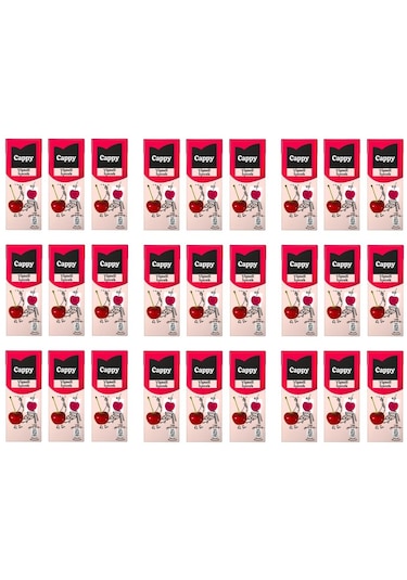 Cappy Vişneli İçecek 200 Ml X 27 Adet