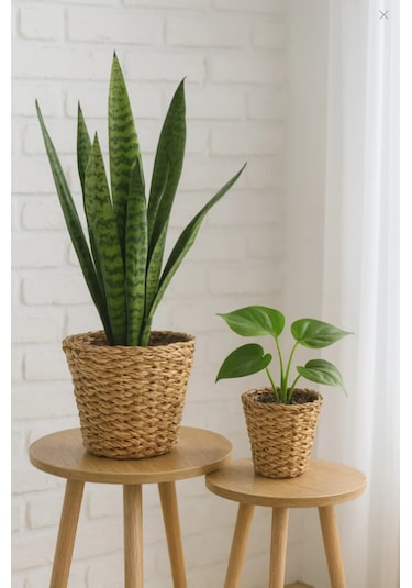 2'li Hasır Mini Saksılık 2 Adet El Örgüsü Hasır Saksı 14024 -