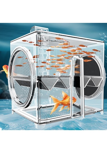 Suntek Balık Üremesi Izolasyon Kutusu Tankı Kuluçkahane