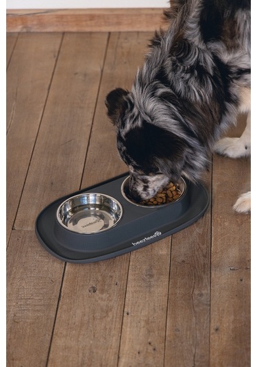 Beeztees Köpek İkili Mama Ve Su Kabı, Paslanmaz Çelik, 40x24cm, 2x500ml