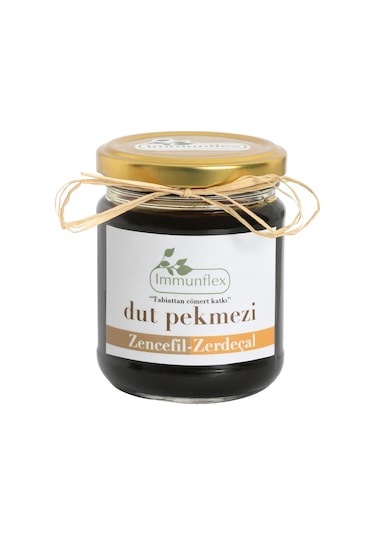 Immunflex Zencefilli Zerdeçallı Dut Pekmezi 220 G