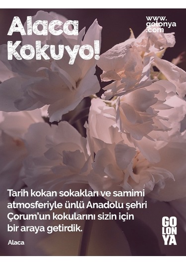 Golonya Alaca Cam Şişe Kolonya 250 ML