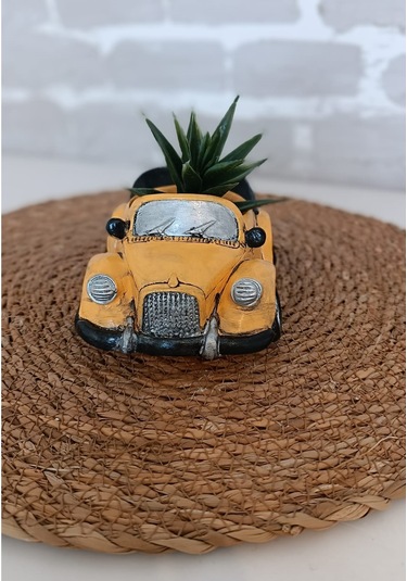 Araba Şeklinde Saksı Farklı Renklerde