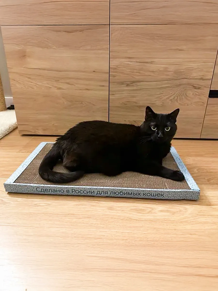 Kogtedralka Büyük Kedi Tırnak Taşıma Cihazı 30x56 Cm, Yer Tipi. 23790698