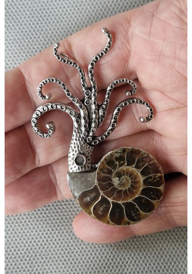 Gerçek Amonit Fosili Benzersiz Broş Br10-9 Kahverengi