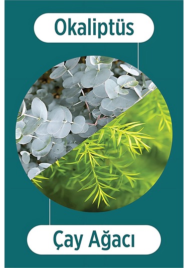 Selesta Life Okaliptüs Ve Çay Ağacı Bitki Özlü Kepek Karşıtı Saç Toniği Tüm Saç Tipleri İçin Tonik 200 Ml