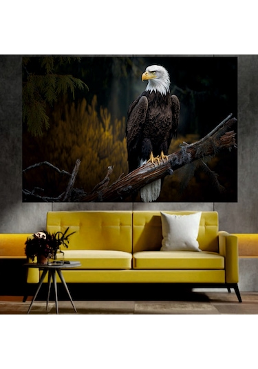 Kartal Temalı Sanatsal Dekoratif Duvar Tablosu