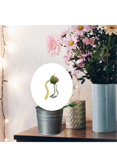 Piranha Çiçek Süsü Benzersiz Tuhaf Dekoratif Reçine Heykeller