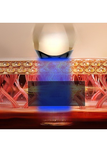 Suntek Yüz Tonlama Cihazı Isıtmalı Titreşimli Masaj Aleti Altın