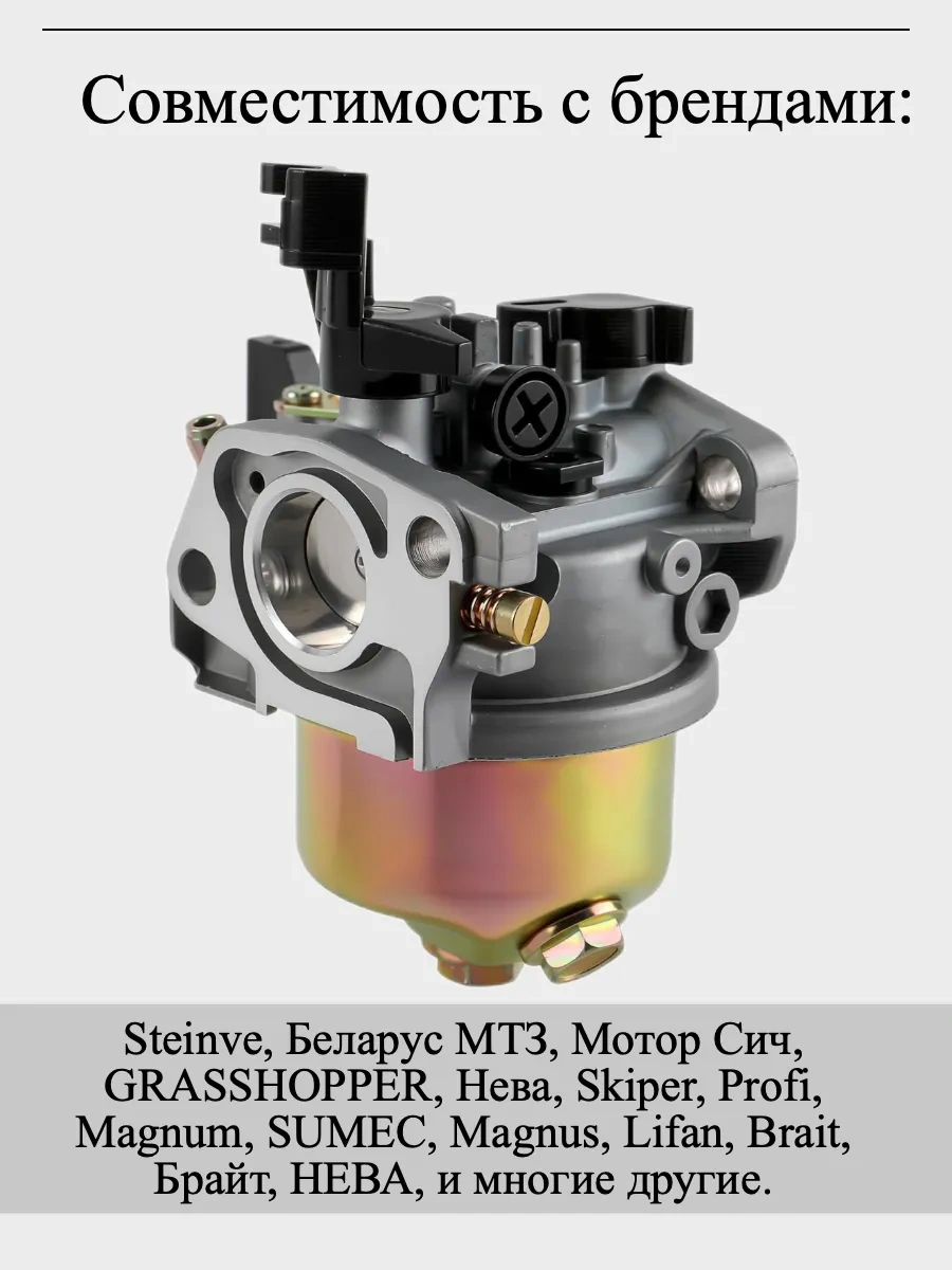 Gamingo Motobloklar, Motorlu Pompalar İçin Karbüratör, 168f 74520111