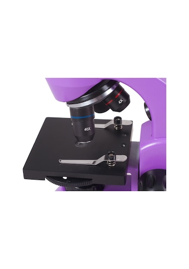 Levenhuk Raınbow 50L PLUS Amethyst/Ametist Mikroskop
