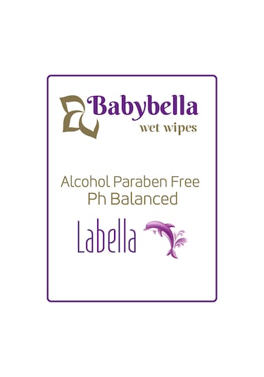 Babybella Labella Islak Mendil 120 Yaprak 12'li Set