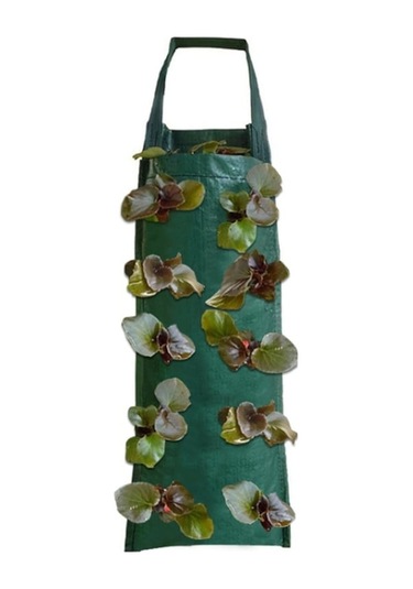 Rogfer Çok Portlu Bitki Çilek Patates Asma Dikim Tencereleri İçin Çantalar Büyü, Boyut:10 Liman