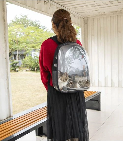 Havayolu Onaylı Seyahat Crate Kedi Taşıyıcı Küçük Pet Sırt Çantası Köpek Taşıyıcıları