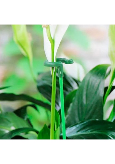 Dofolink Bitki Dik Tutucu, 48cm Plastik Çiçek Ve Çalı Destek Aynaları, Rüzgar/yağmur Koruması, 10 Adet - İç/çerkek Saksı Bitkileri İçin