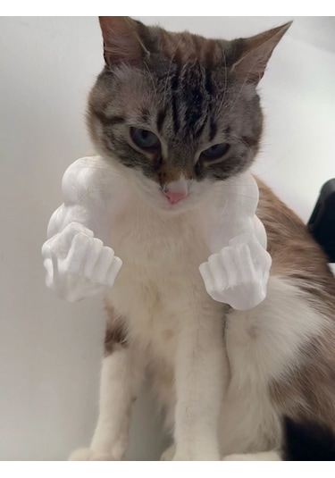 Kedi İçin Hulk Kolları Aksesuarı Beyaz Komik Kedi Aksesuarı