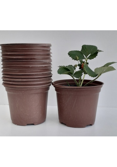 Üretim Saksısı 12X10 Cm 100 Adet Vakum Saksı Fide Saksısı