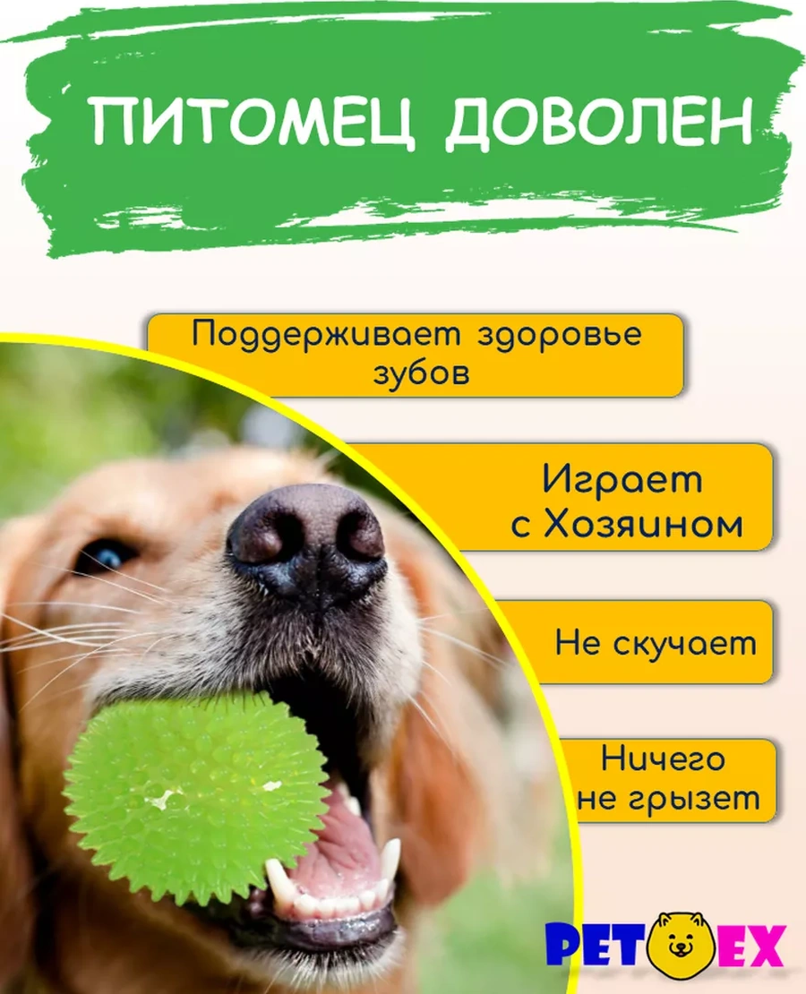 Pet-ex Köpekler İçin Dikenli Top 2'li, 9 Cm 198929586