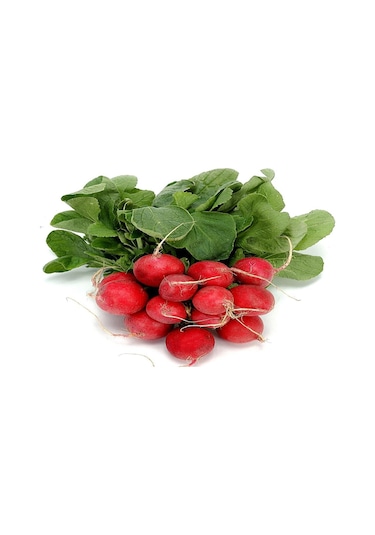 Fındık Turp 10 Gr Bt