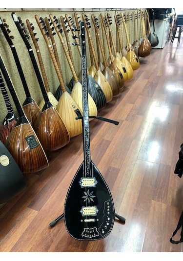 Profesyonel Ardıç Ağacı Manyetikli Elektro Bağlama