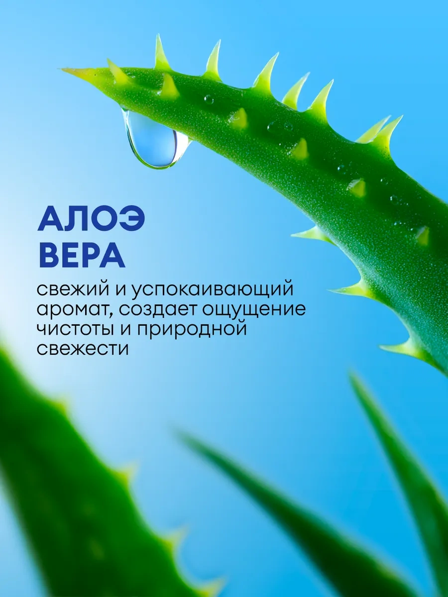Grass Laun Aloe + Elma 5+5l Bulaşık Deterjanı Seti Elma + Aloe Bulaşık Şampuanı Seti Bu 5+5'li Set İçinde: - 5l A