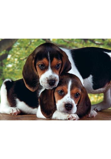 Clementoni 500 Parça Puzzle Close Together
