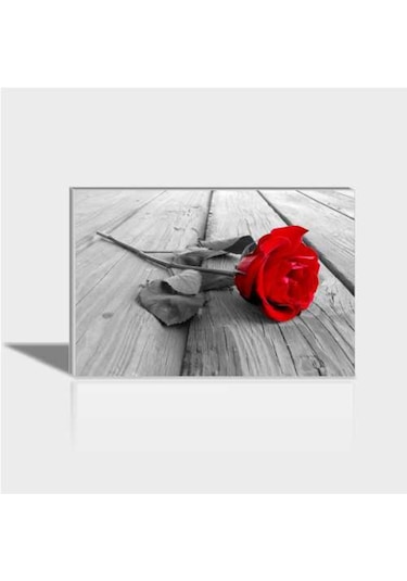 60X90 Cm Rose Kırmızı Gül Canvas Tablo