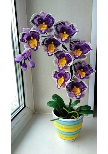 Sarı Göbekli Mor Orkide Çiçeği Tohumu 10 15 Adet