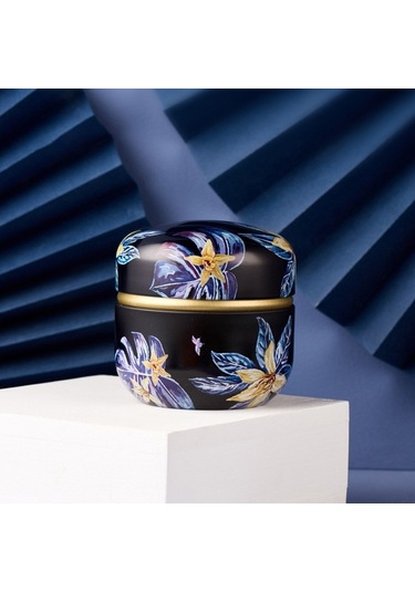 Sones Hoomın Çay Kutusu Çay Kavanozu Saklama Tutucu Çay Kutuları Matcha Kabı Mini Kahve Tozu Düzenleyici Kutular Çok İşlevli Yuvarlak Metal, Renk: Moshan Çiçeği