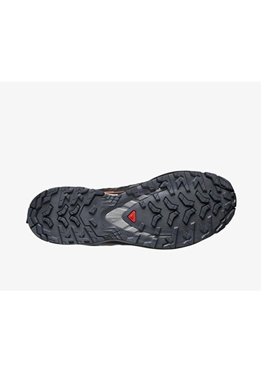 Salomon Xa Pro 3d V9 Gore-tex Erkek Outdoor Ayakkabısı L47817500 Renkli Renkli