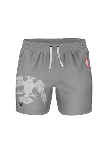 Freesıde Aquıla Imperıum Traınıng Shorts Gri