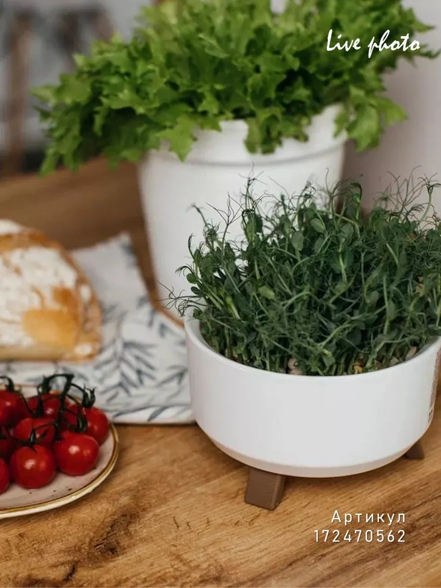 La Decoro Sukulentler İçin Saksı, Ayaklı Saksı, Kaktüs Saksısı 166657688