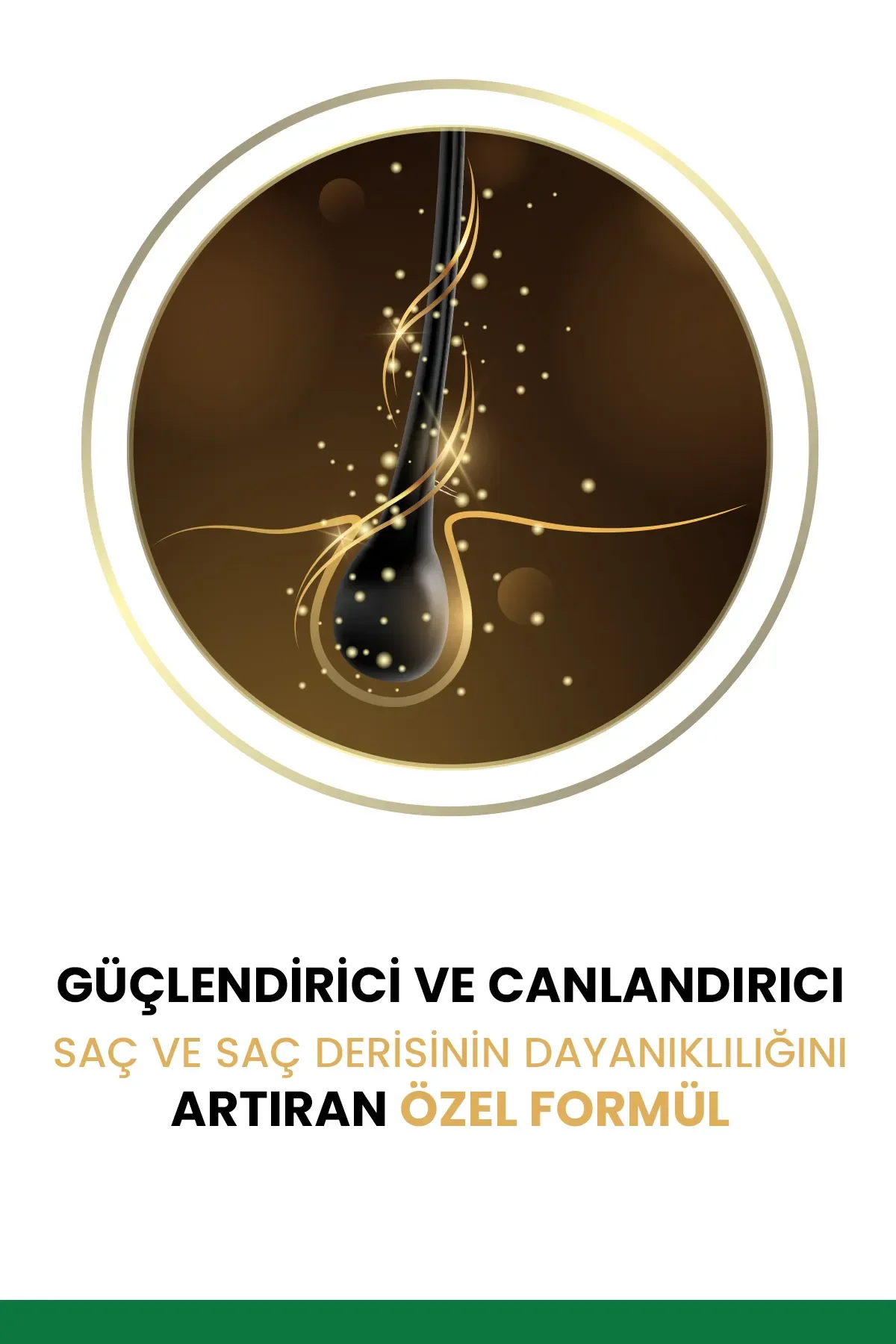 Maça Çaylı Saç Dökülmesine Karşı Hızlı Sac Uzatan Dolgunlaştırıcı Onarıcı Besleyici Şampuan 500 Ml Tüm Saçlar