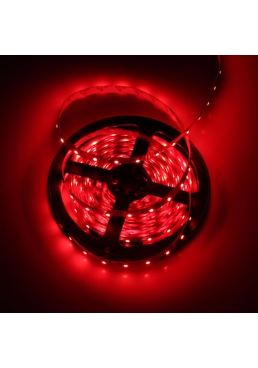 Tek Çipli İç Mekan Silikonsuz Şerit Led | 5 Metre
