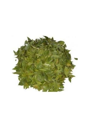 Sidr Yaprağı Zizyphus Spina ,arabistan Kirazı Yaprağı, 250gr, Derya Eren