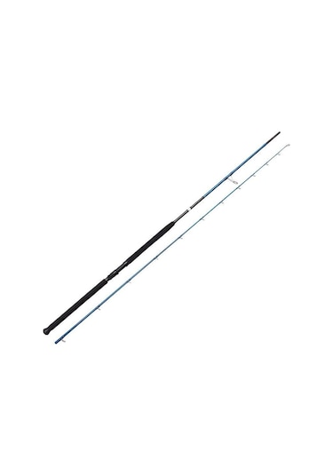 Savage Gear SGS2 Shore Jigging 290 cm 20-80 gr Shore Jig Kamışı