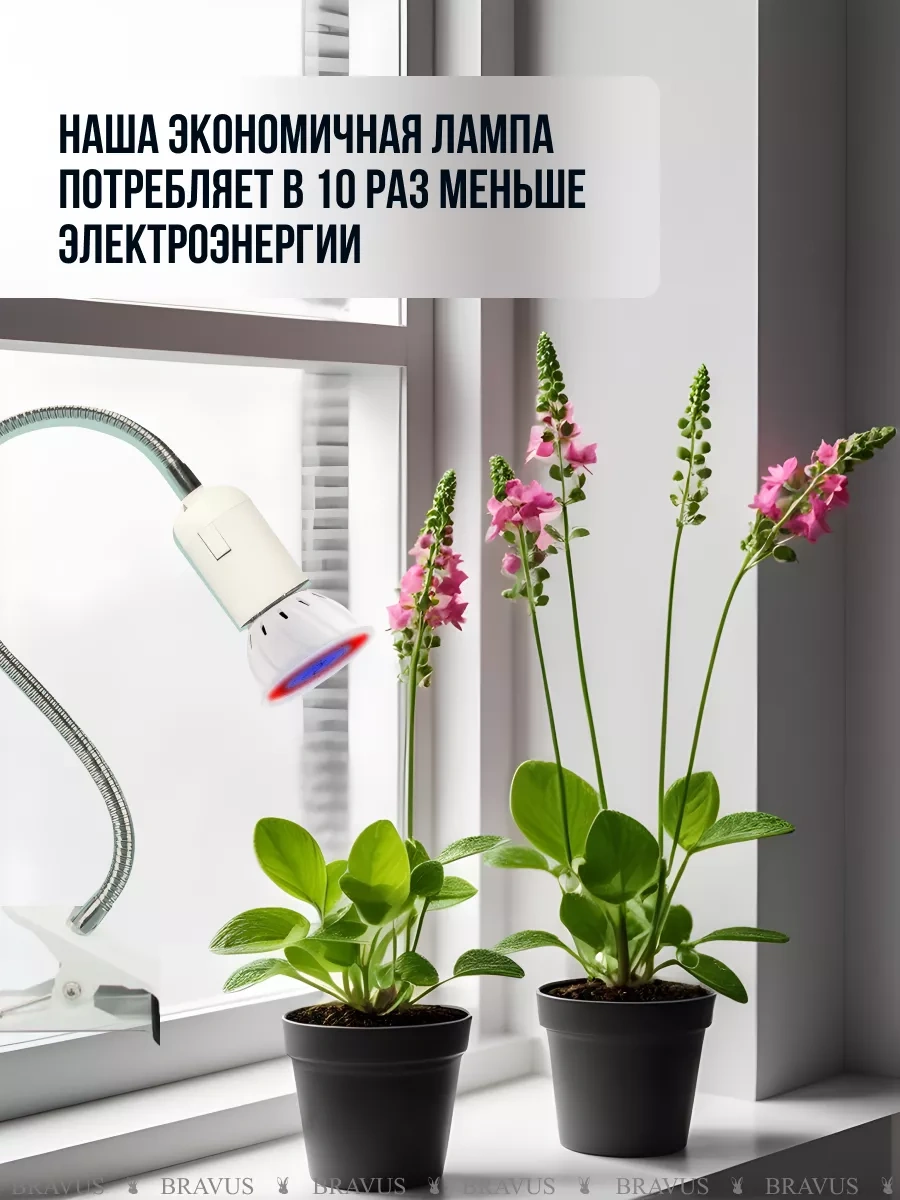 Bravus Fitolift Bitkileri İçin Fideye Uygun Uv Kelepçeli Lamba 196481213 Kırmızı