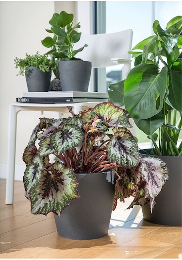Toprak Saksı, Koyu Gri, 24 Cm 3 Adet