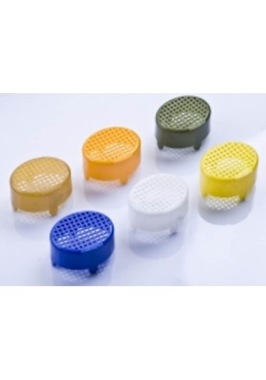 Ana Arı Memesi Hapsetme 10 Adet